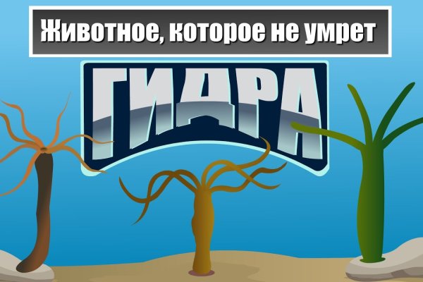 Рабочий адрес омг