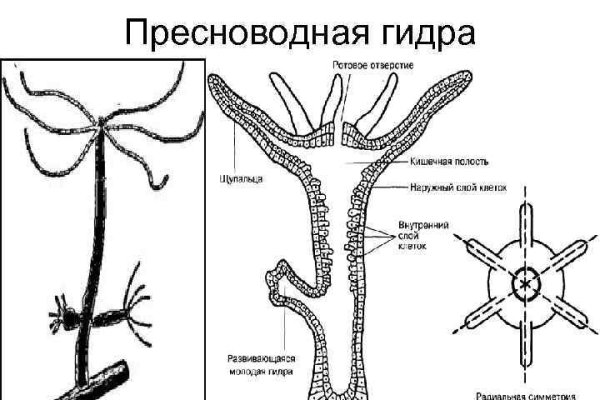 Зеркало омг что это