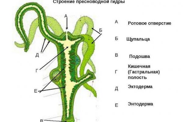 Omg omg сайт ссылка площадка